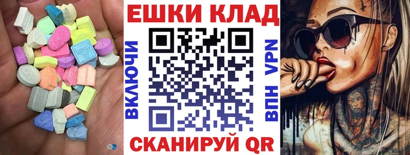 Ecstasy Philipp Plein  гидра ссылка  Сычёвка 