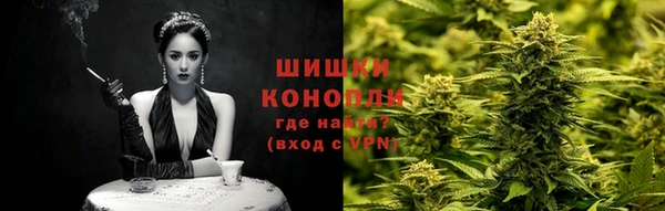 прущие грибы Красноперекопск