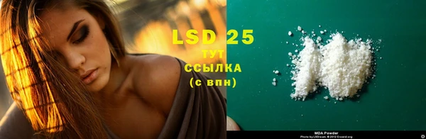 хмурый Лиски